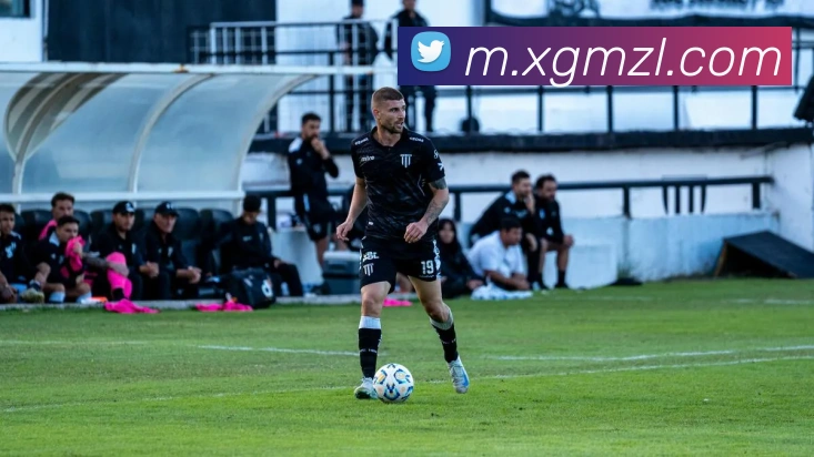 尊龙凯时平台生态图